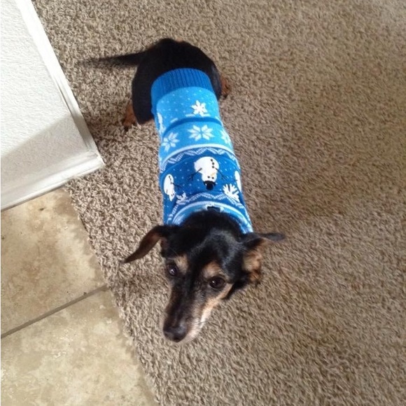 Meet your Poshers, Tracey and BeanieDoodle - Picture 14 of 15